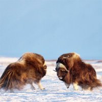 Еще немного движения.:)