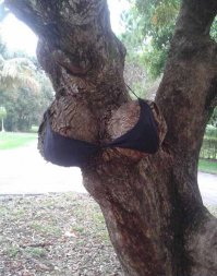 Наш ответ буржуинам.