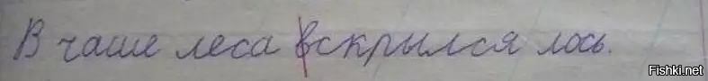 "Упс, ошибочка вышла!": 16 глупых ляпов, которые стали достоянием общественности