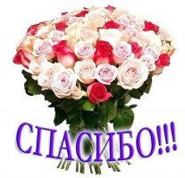 Рыцарь Теней