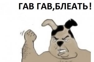Гимн кошке 