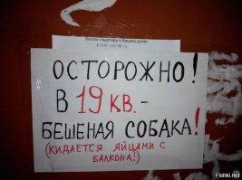 Картинки
