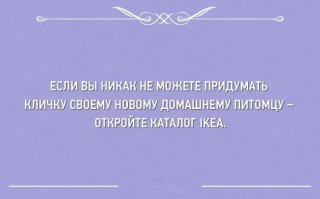 Смешные «Аткрытки»