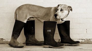 Ямы на дороге стали причиной случайного секса в маршрутке