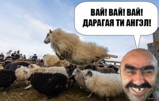 Зачем горные козлы забираются на отвесные плотины, где не растет трава