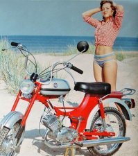 а вот наши мопедистки...