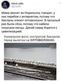 Нескончаемые перлы из социальных сетей