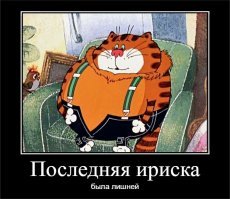 а где его джинсы, в магазине на корм поменял? Цену кусаются, однако
