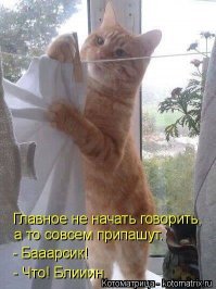 А потом ещё корову купим ...