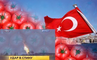 "Помидоры турецкие есть не будем! В Турцию ни ногой!"
 Забыли... А какие обличительные статьи были, в т. ч. и на "Фишках"!