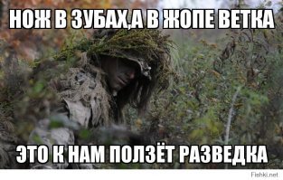 Лекки и ночной экзамен