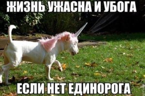 Упоротый юмор