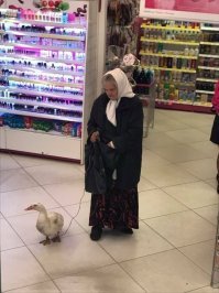 Где второй гусь? :)