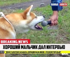 Потомки Моны Лизы получили российское гражданство