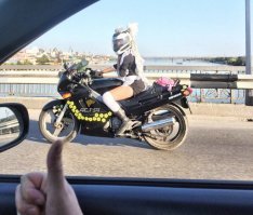 А вот современный вариант,Новосиб