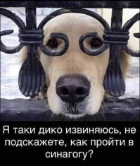 Очередная порция забавных комментариев