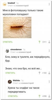 Очередная порция забавных комментариев