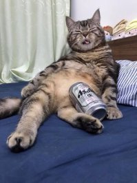 С добрым утром!