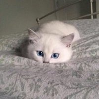 С добрым утром!