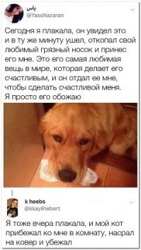 всё нормально - кот насрал на ковер, убирая за ним отвлеклась от грустных мыслей, так что кот не такой уж и пи#дюк