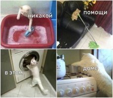 Прикольные и смешные картинки