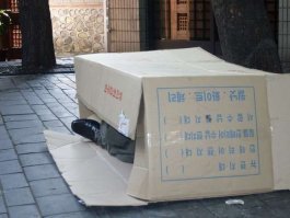 Голландцы создали полнофункциональный дом из картона