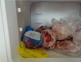 А что у вас в морозилке? 15 примеров забавного хранения в холодильнике