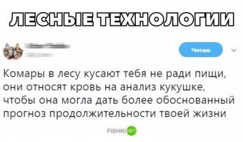 Забавные демотиваторы обо всем на свете 