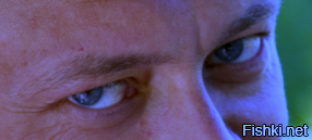 Подкрутил немного цветовой баланс, чтобы немного подогнать по цвету морду лица. И, о чудо, глаза перестали быть серыми!