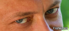 Подкрутил немного цветовой баланс, чтобы немного подогнать по цвету морду лица. И, о чудо, глаза перестали быть серыми!