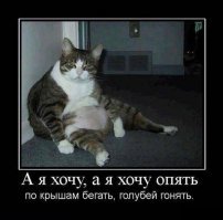 Забавные демотиваторы обо всем на свете 