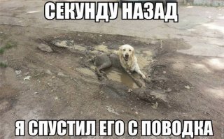 Забавные демотиваторы обо всем на свете 