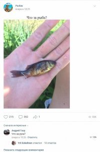 Очередная порция забавных комментариев