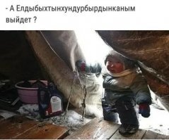 Прикольные и смешные картинки