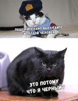 Почему черная смородина запрещена в США?