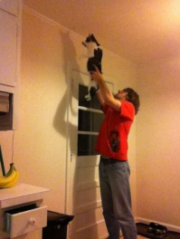 Я пауков котом убиваю.