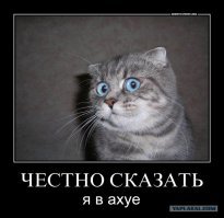 Как огромный питон съел крокодила