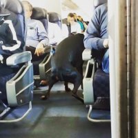 20 людей, с которыми никто не хочет сидеть рядом в самолете