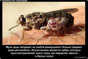 одевайтесь соответственно