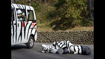 одевайтесь соответственно