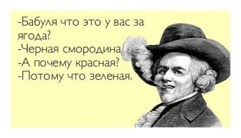 Почему черная смородина запрещена в США?