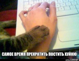 Победительница шоу "Холостяк" приступила к штурму шоу-бизнеса