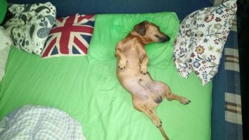 Жена слева, ну а я в прихожей, на коврике ))))