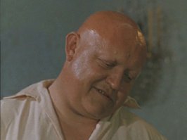 Вячеслав Васильев. 
Актёр, врач, кандидат медицинских наук.
Родился 21 июня 1934 года в Ленинграде.
В 1958 году окончил Первый медицинский институт по специальности "урология".
В конце 1960-х годов был одним из руководителей бригады по пересадке почки (впервые в Ленинграде).
За 25 лет снялся в 53 фильмах: у Ильи Авербаха, Элема Климова, Глеба Панфилова, Сергея Микаэляна, Евгения Татарского.
Автор 2 книг стихов: "Живая нить" (СПб, 1994), "Дом" (СПб, 1995).
Умер 26 августа 1997 года во время репетиции спектакля Петербургского драматического театра "Остров". 
Похоронен на Богословском кладбище Санкт-Петербурга.