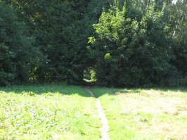 точно! Я ещё лет 10 назад в садике у МГУ портал обнаружил! Но мне не поверили!