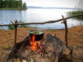 За костры в лесу придется платить внушительные штрафы