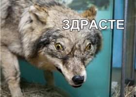 воть....