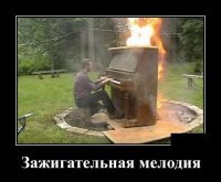 фанат или потомок Джери Ли?