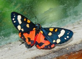 Добавлю немного своих...