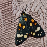 Добавлю немного своих...